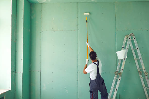 Best Biohazard Mold Removal  in Valley Park, MO