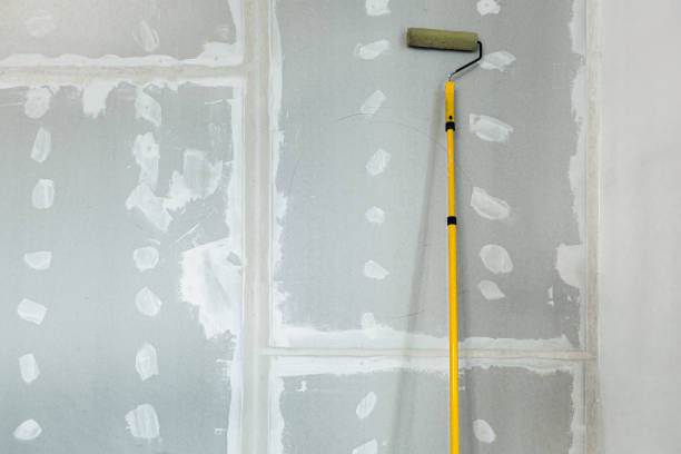 Best HVAC Mold Inspection and Cleaning  in Valley Park, MO