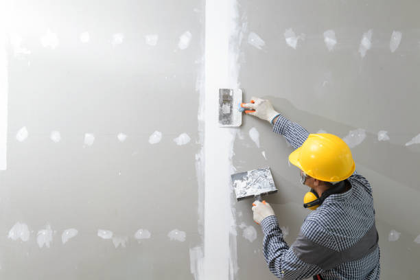 Best Post-Remediation Verification Testing  in Valley Park, MO
