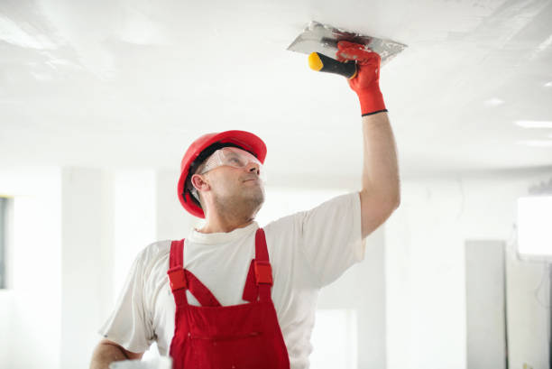 Best HVAC Mold Inspection and Cleaning  in Valley Park, MO