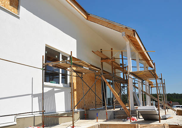 Reliable Valley Park, MO Mold Removal Solutions