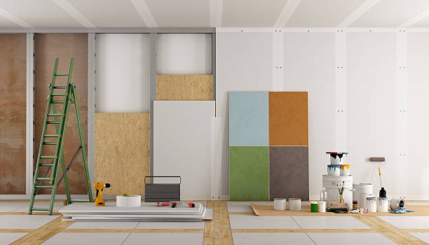 Best Mold Prevention Services  in Valley Park, MO