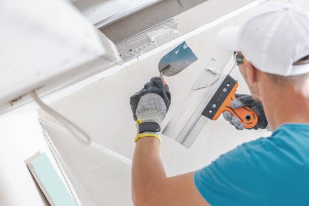 Best Industrial Mold Remediation  in Valley Park, MO